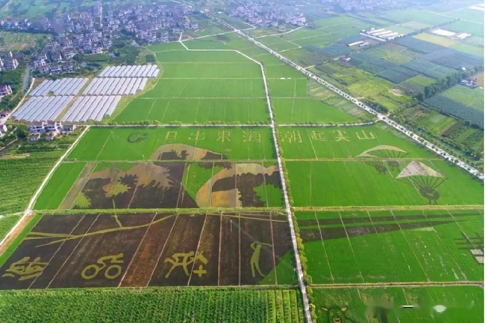 乡村旅游，为什么做不好，如何破局“出圈”？